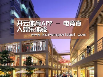 案例展示一(图1)