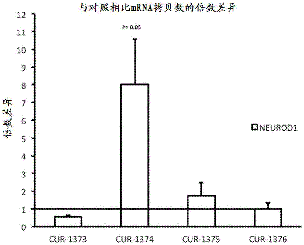 益生菌酵素粉 加速脂肪代谢【开云APP】(图1) 开云电竞