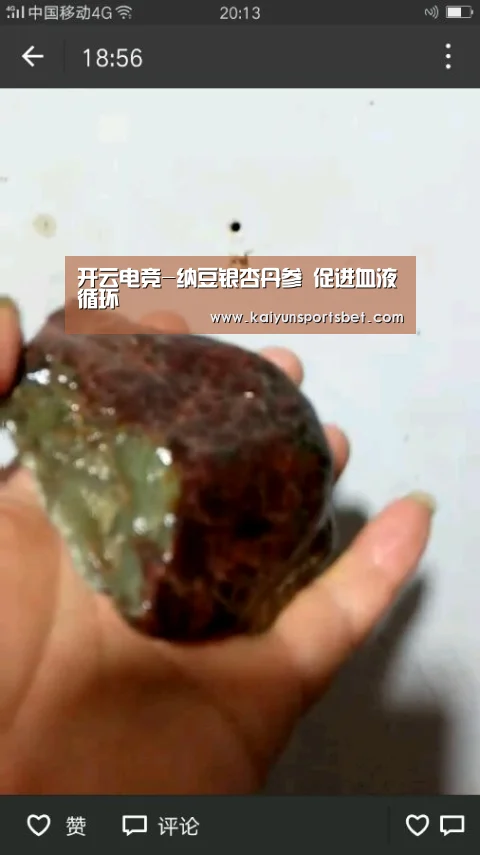开云电竞