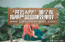 开云APP