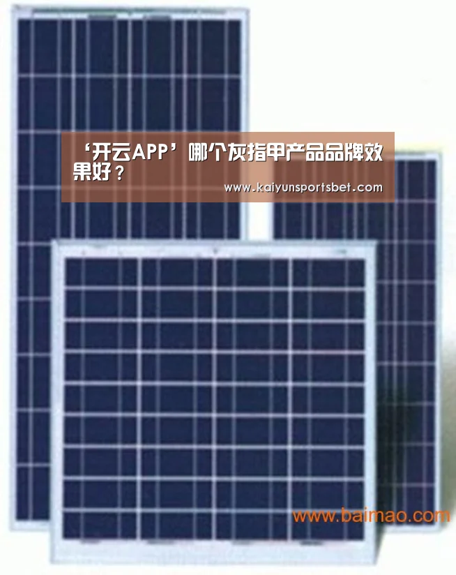 开云APP