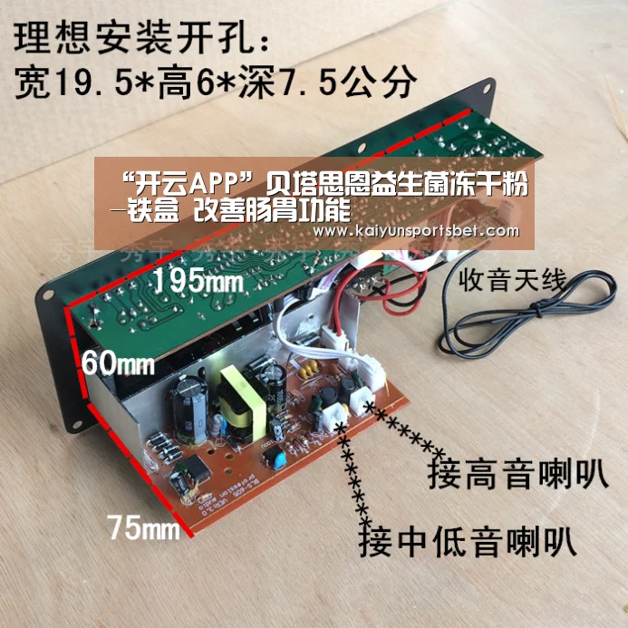 “开云APP”贝塔思恩益生菌冻干粉-铁盒 改善肠胃功能(图4) 开云真人